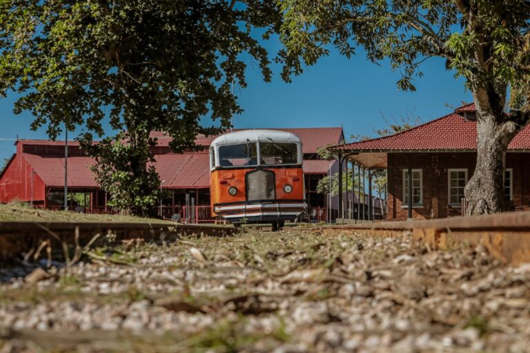 Passeio de litorina nas comemorações alusivas ao 110 anos de Porto Velho